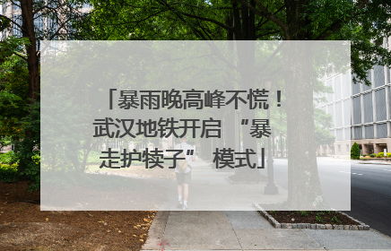 暴雨晚高峰不慌！武汉地铁开启 “暴走护犊子” 模式